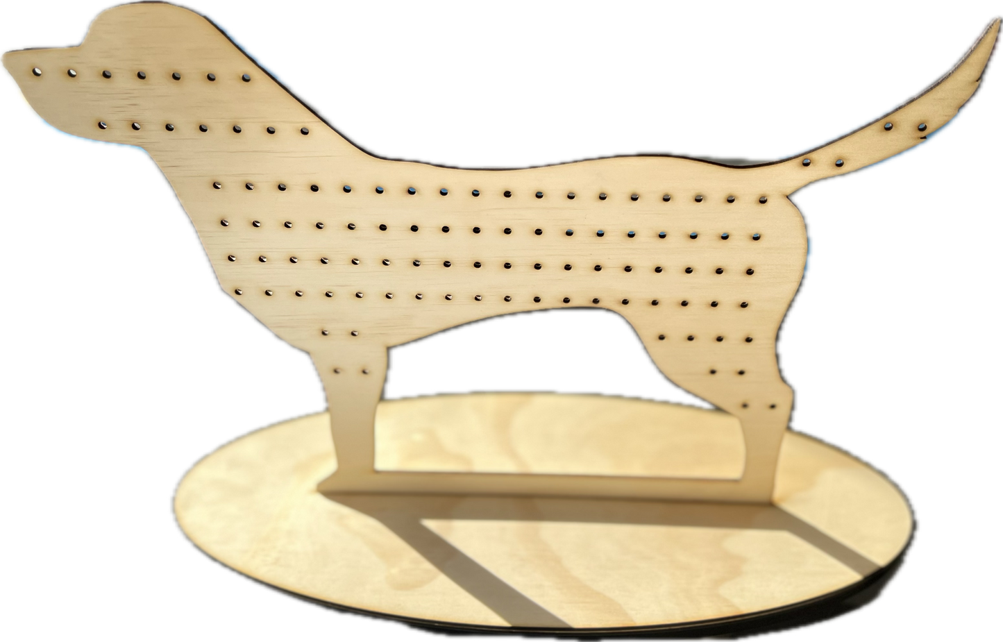 Custom Shape Earring Holder