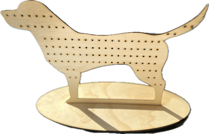 Custom Shape Earring Holder