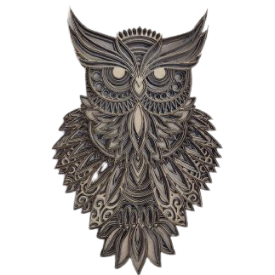 Wise Owl