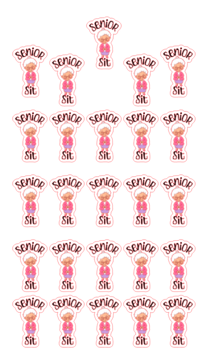 Planner Stickers - Senior Sit